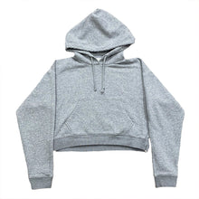 Load image into Gallery viewer, Aritzia Tna The Perfect Hoodie Women’s XS