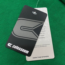 Load image into Gallery viewer, Colosseum NCAA Oregon Ducks Arch &amp; Logo 3.0 College NWT Pullover Hoodie Men’s 2XL
