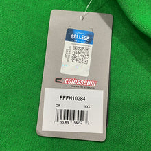 Load image into Gallery viewer, Colosseum NCAA Oregon Ducks Arch &amp; Logo 3.0 College NWT Pullover Hoodie Men’s XXL
