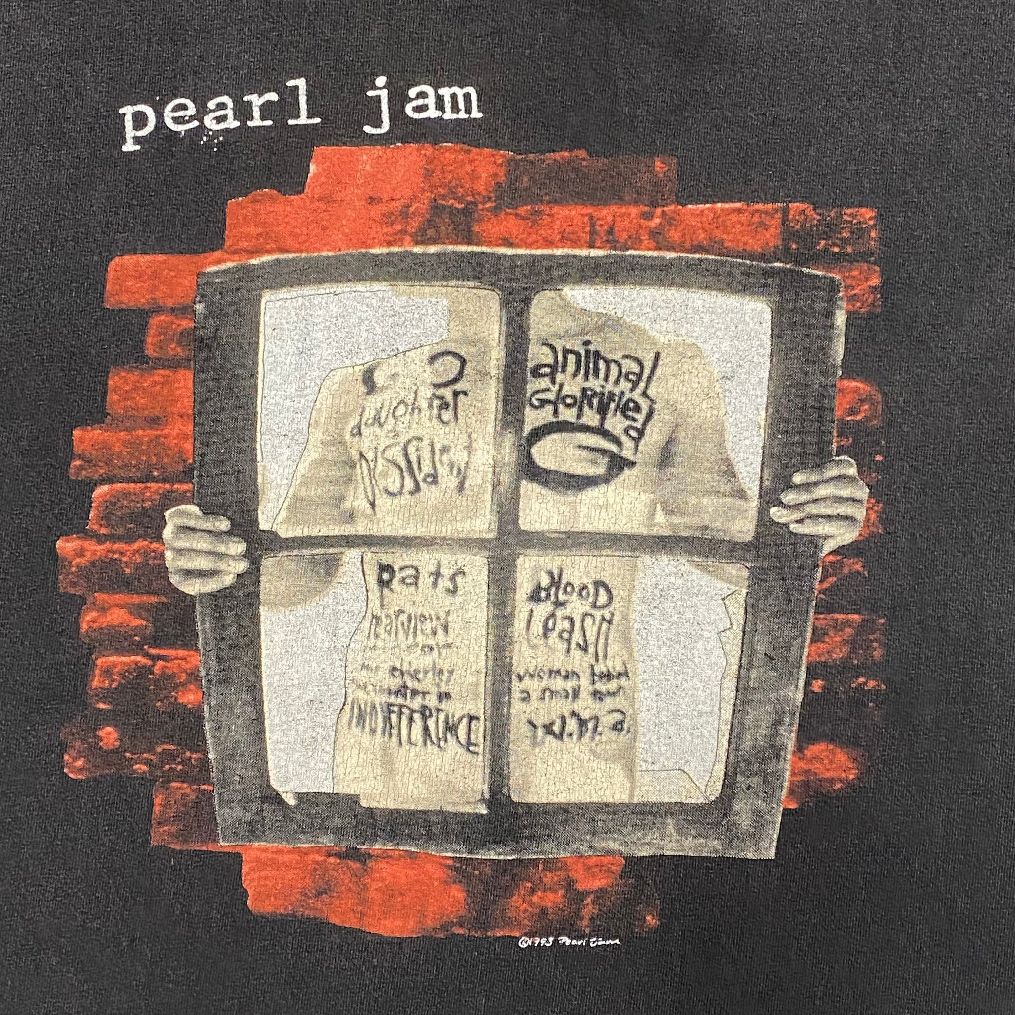 Vintage 1993 Pearl Jam Window Pane / Window Pain Canadian Tour