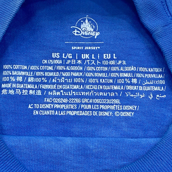 Disneyland Resort Lilo & Stitch Hawaiian Vacation Spirit Jersey Large
