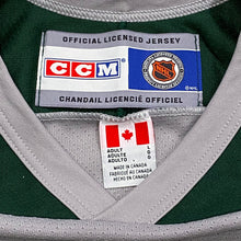 Load image into Gallery viewer, Vintage 90’s CCM NHL Dallas Stars Practice Jersey Large
