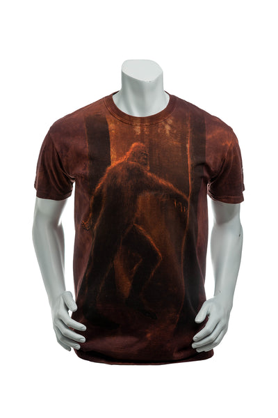 The Mountain 2009 Bigfoot Stone Washed T-Shirt Men's Medium