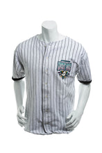Load image into Gallery viewer, Vintage 1993 Disney NHL Anaheim Mighty Ducks Pinstripe Baseball Jersey Men&#39;s Medium
