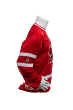 Load image into Gallery viewer, Nike 2010 Team Canada Winter Olympics Championship Hockey Jersey Men&#39;s Small
