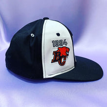 Load image into Gallery viewer, Vintage 1994 Starter CFL BC Lions Grey Cup Champions Snapback Hat
